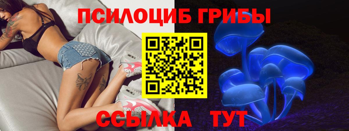 Псилоцибиновые грибы мицелий  где купить наркоту  Славянск-на-Кубани  Вход с VPN 